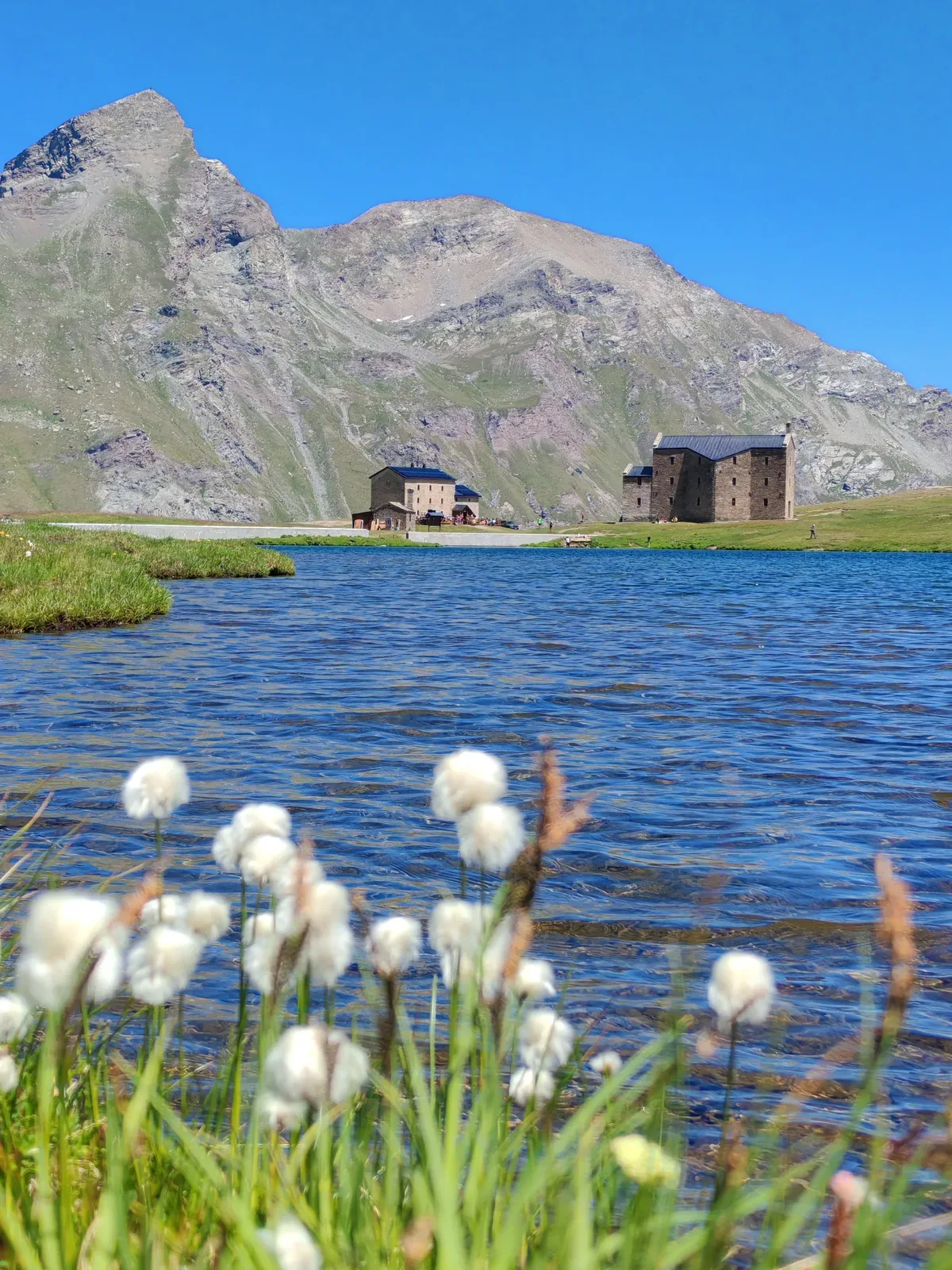 Il Lago Miserin con gli eriofori in primo piano e, sulla riva opposta, il santuario e il rifugio sotto la cima rocciosa