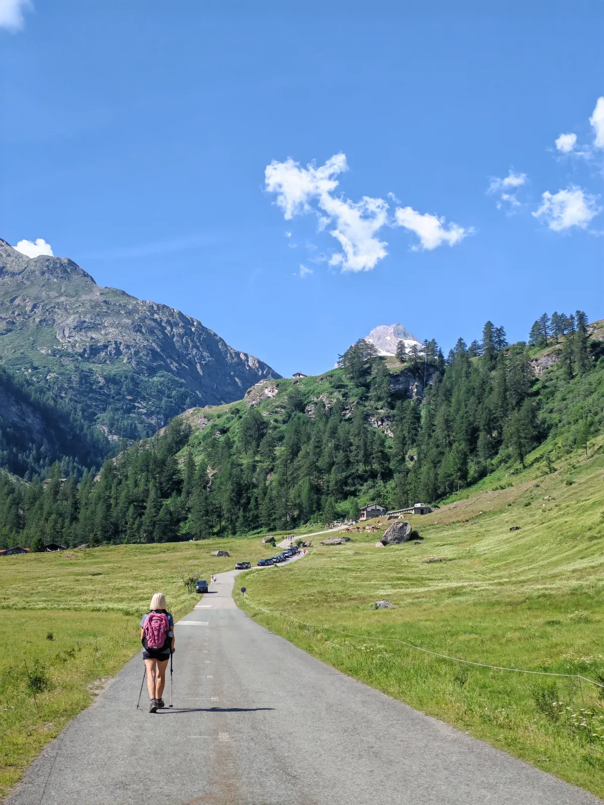 La stradina asfaltata che attraversa la piana di Thumel, con i prati da fieno, le baite e le mucche al pascolo sul versante opposto