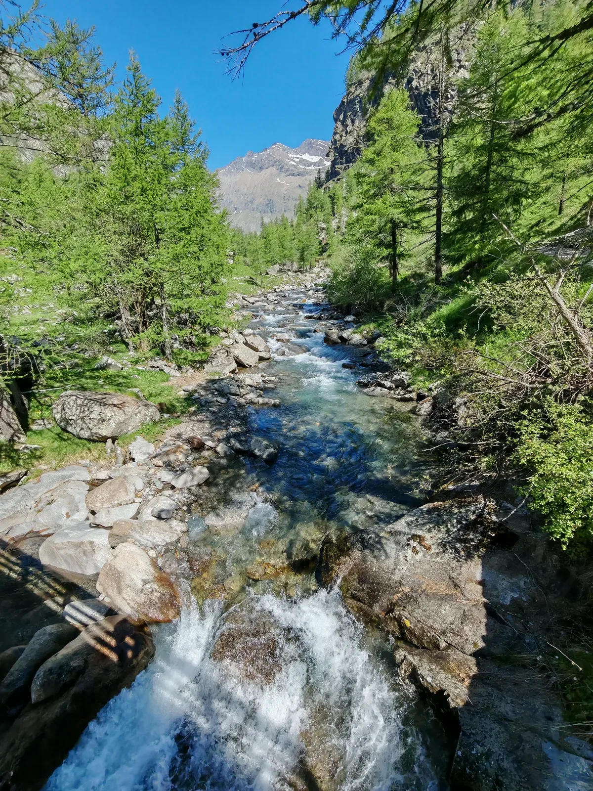 Il torrente nel lariceto del fondovalle, con l'acqua che scende su salti di roccia e una cima innevata in fondo alla valle